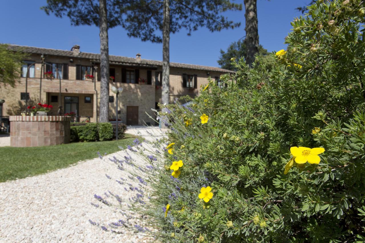 Casale San Galgano Aparthotel Chiusdino Kültér fotó